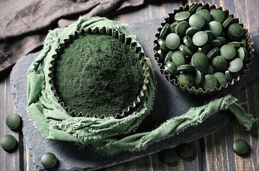 Chính sách bảo hành
