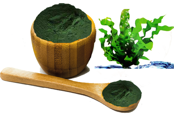 Chính sách bảo mật